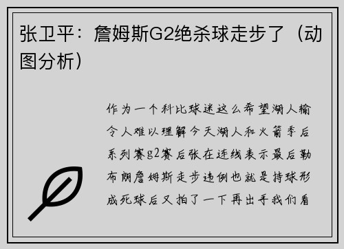 张卫平：詹姆斯G2绝杀球走步了（动图分析）