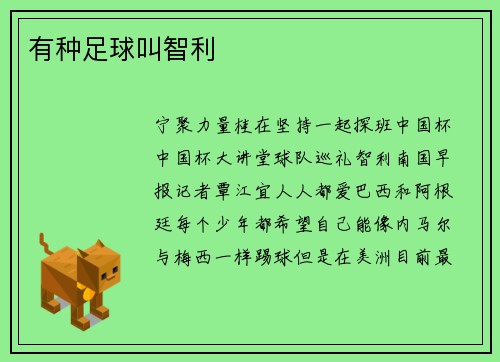 有种足球叫智利